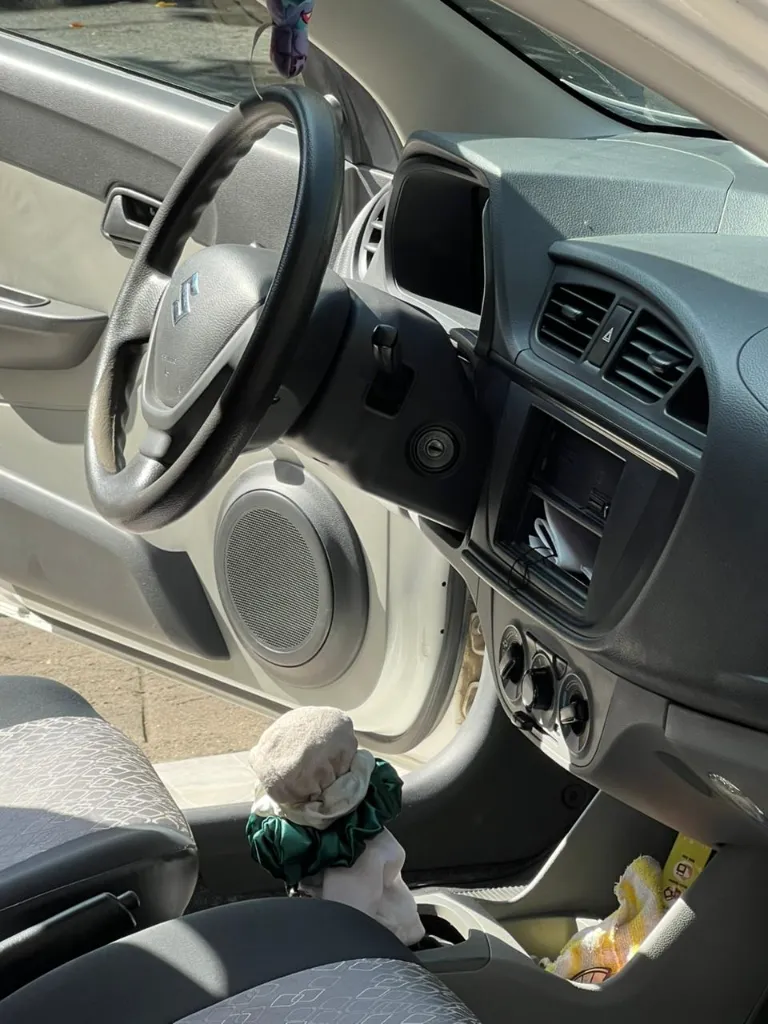 SUZUKI ALTO 800 MT 2019 (14).webp